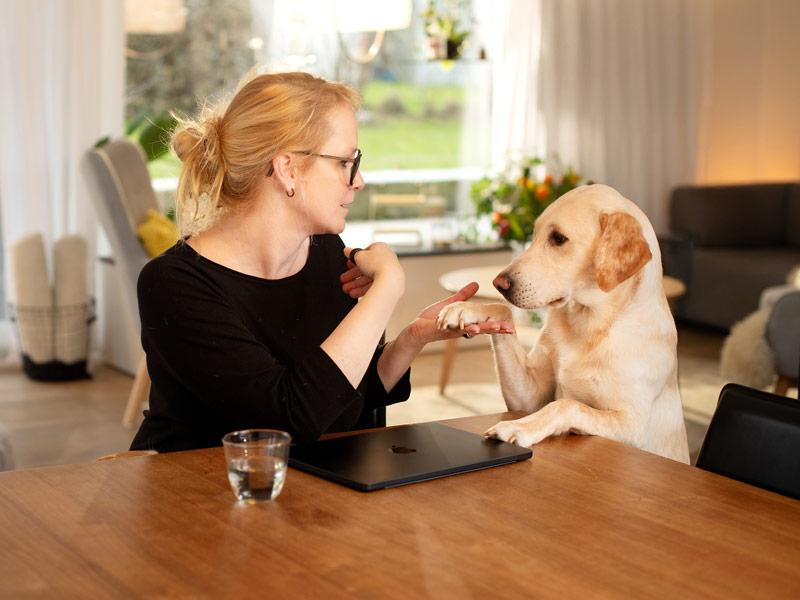 Une femme caresse un chien chez elle